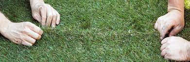 How to Repair Your Lawn After Winter