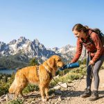 Why Idaho Dog Owners Are Switching to Portable Water Bottles This Year