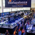 Reefapalooza California 2026: Dates, Location, Vendors and Visitor Tips