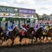 Thoroughbred racehorses breaking from the gate on the dirt track at Keeneland Race Course during the Breeders' Cup World Championships 2026 in Lexington, Kentucky